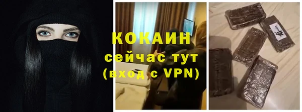гидра Чегем