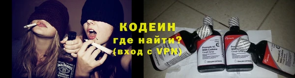 гидра Чегем