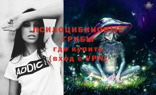 спайс Чердынь