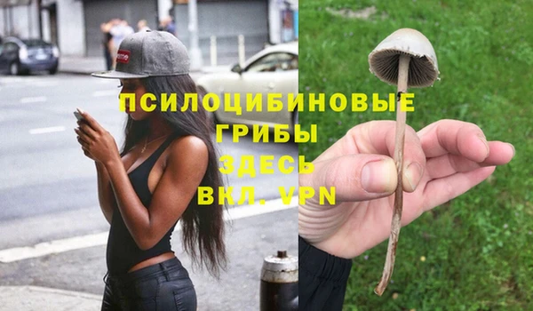 гидра Чегем