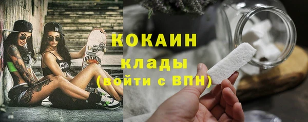 эйфоретик Чекалин