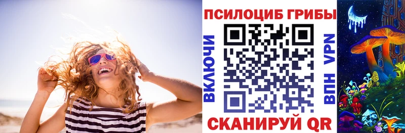 ссылка на мегу маркетплейс  Кемерово  Псилоцибиновые грибы Magic Shrooms 
