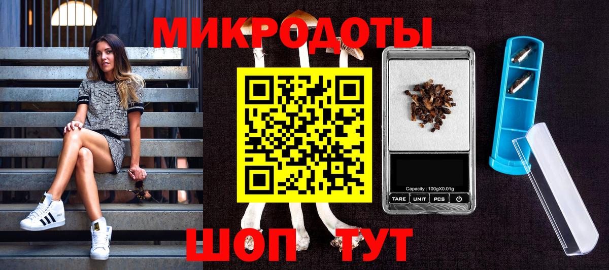 цена наркотик  Вход с VPN  Кемерово  Галлюциногенные грибы Magic Shrooms 