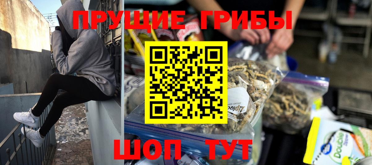 Галлюциногенные грибы Psilocybine cubensis Кемерово